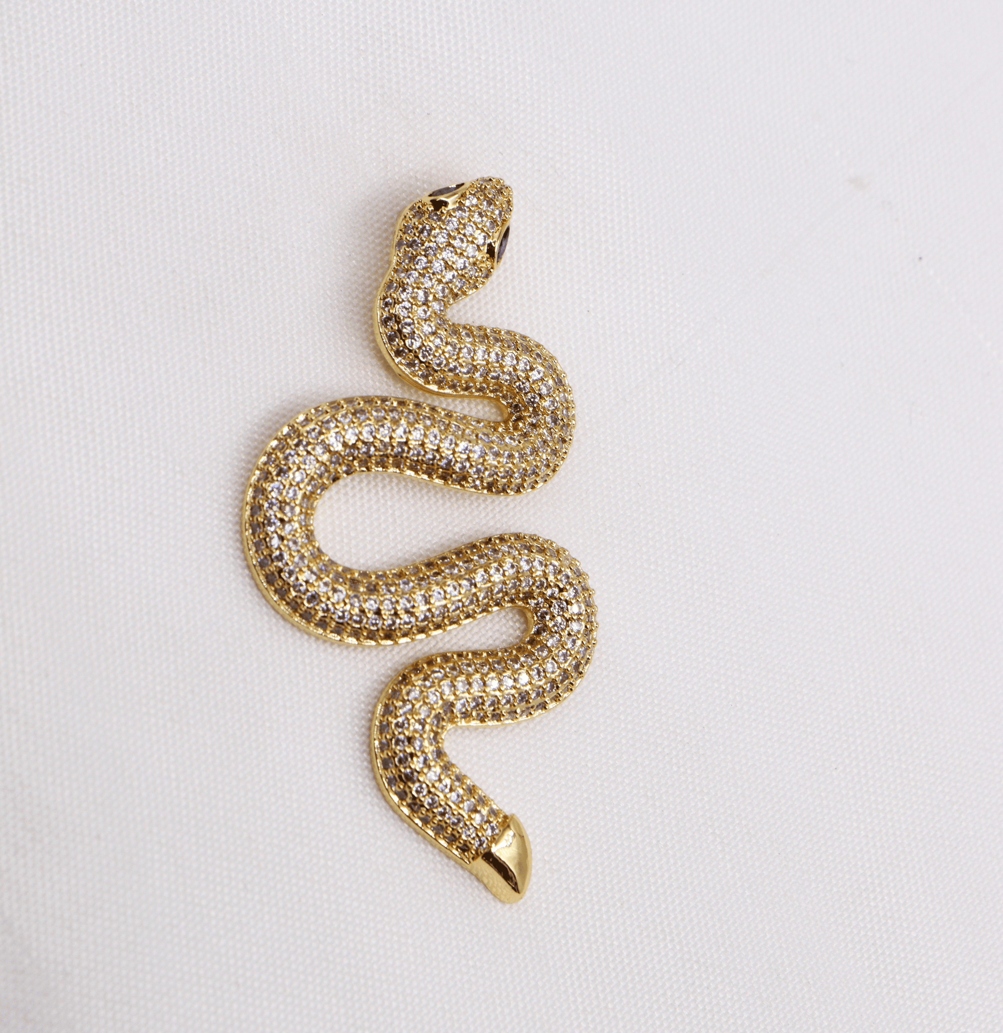 DIJES EN RODIO SERPIENTES