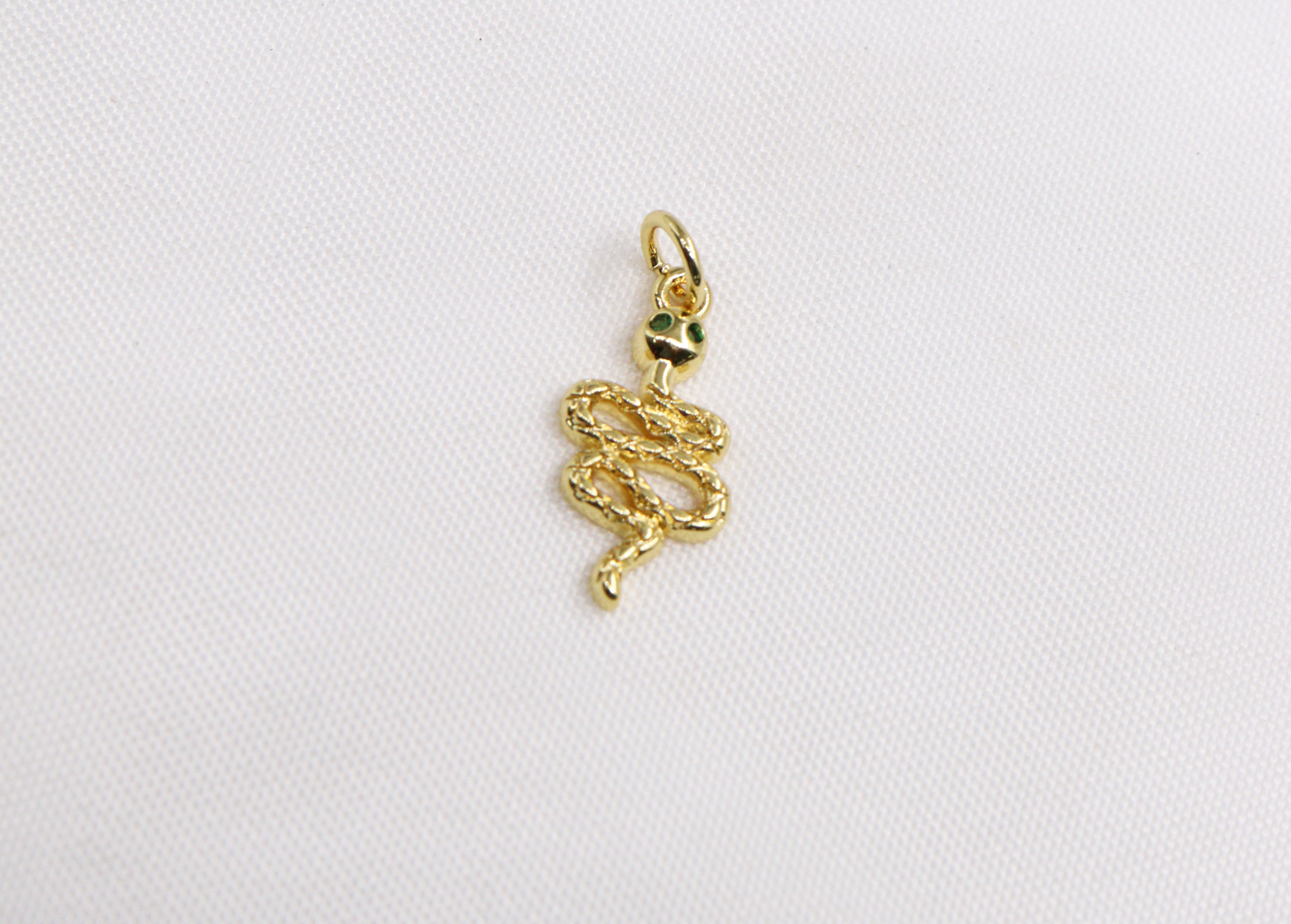 DIJES EN RODIO SERPIENTES