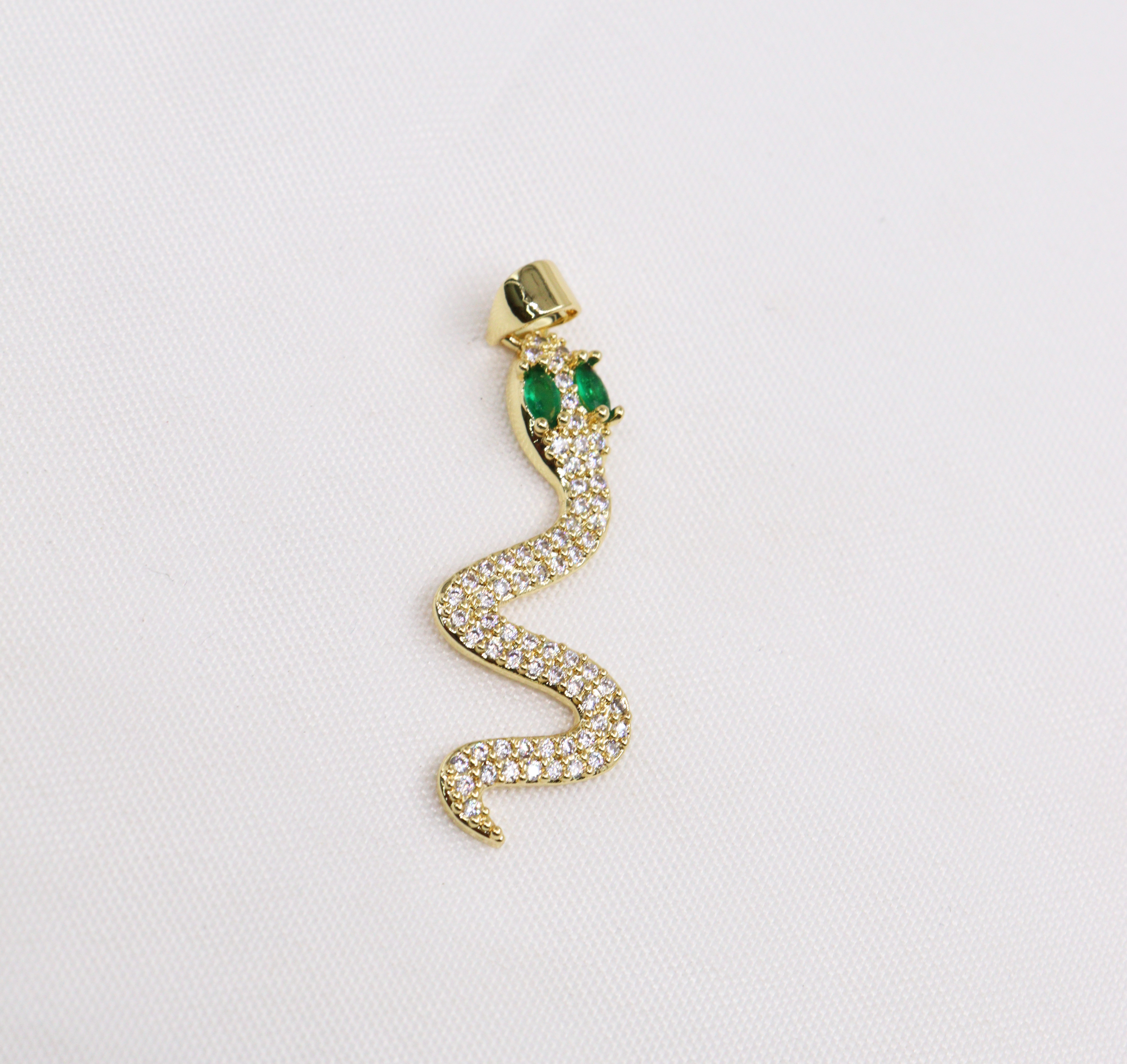 DIJES EN RODIO SERPIENTES