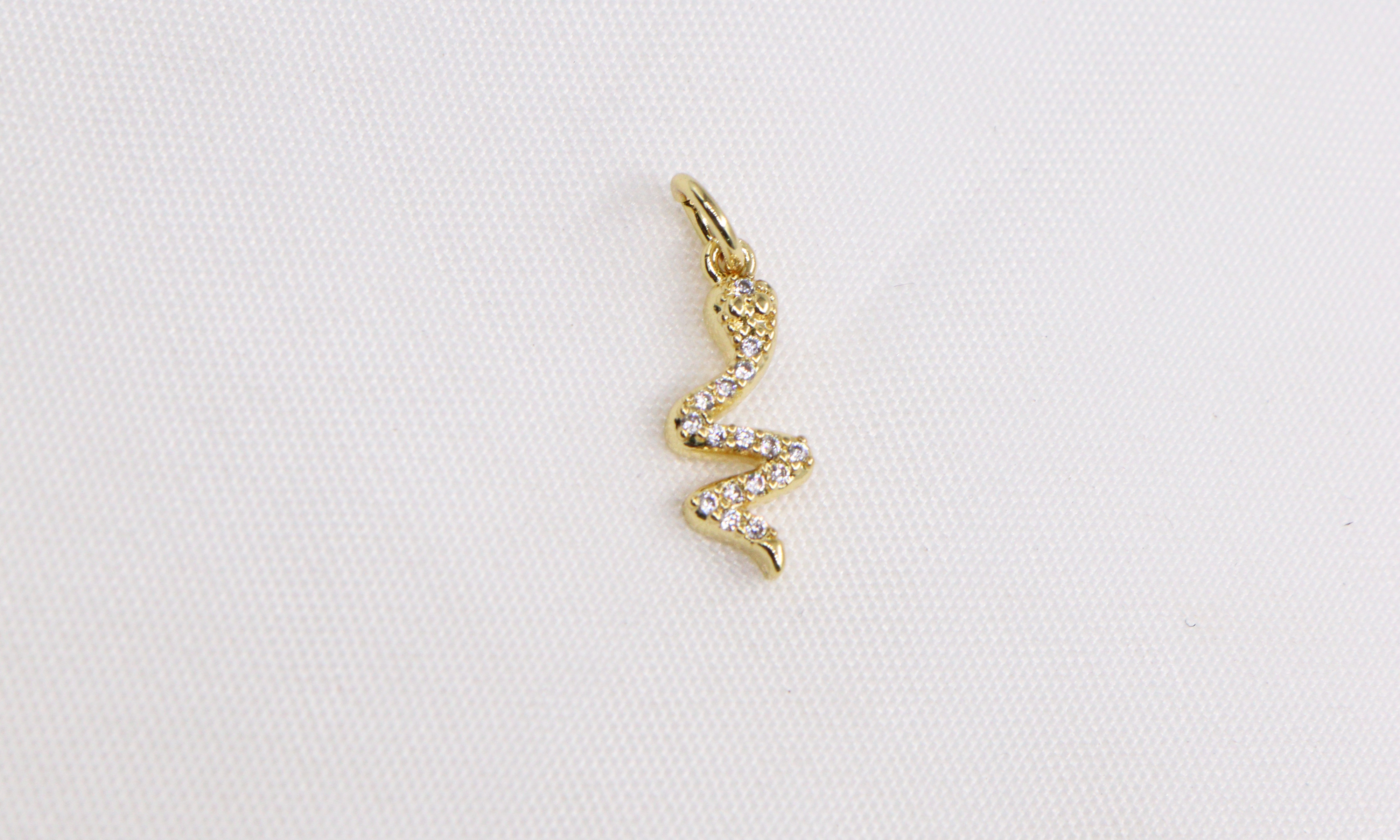 DIJES EN RODIO SERPIENTES