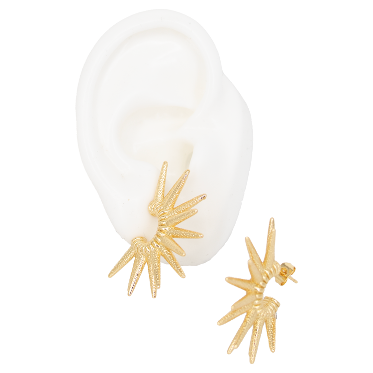 TOPO FIESTA BAÑO EN RODIO