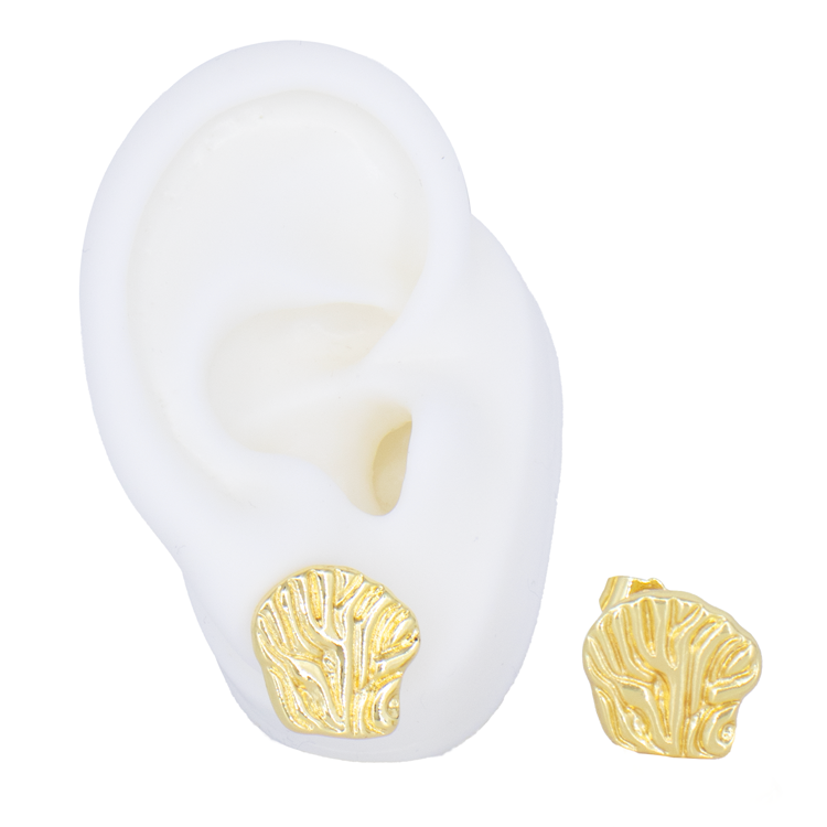 TOPO ARRECIFE BAÑO EN RODIO