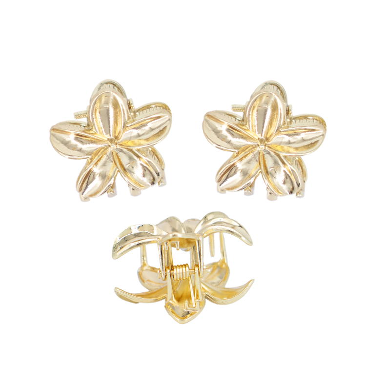 HAIR CLIPS ANASTACIA BAÑO EN RODIO